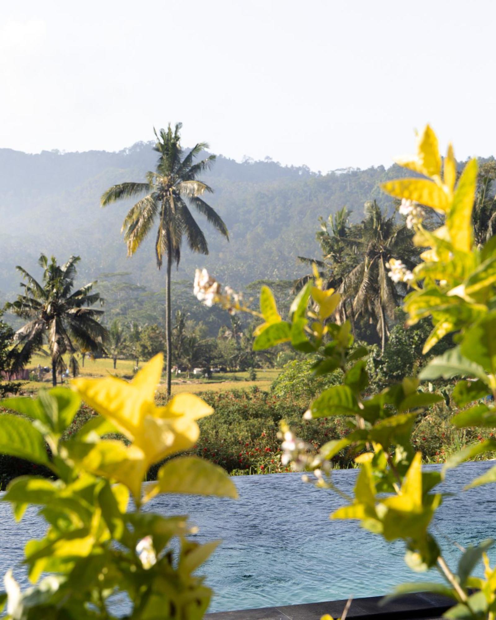 Ume Dukuh Sidemen Lodge Sidemen (Bali)